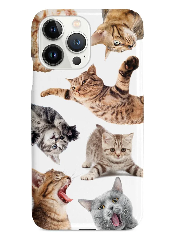 Funny Cats 2 Case